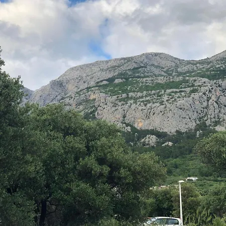 Flora Apartman *
